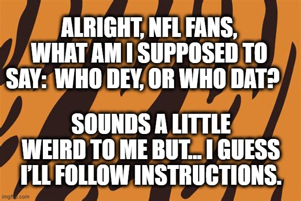 Who Dey? | ALRIGHT, NFL FANS, WHAT AM I SUPPOSED TO SAY:  WHO DEY, OR WHO DAT? SOUNDS A LITTLE WEIRD TO ME BUT… I GUESS I’LL FOLLOW INSTRUCTIONS. | image tagged in nfl memes,nfl playoffs,football,sports fans,bengals | made w/ Imgflip meme maker