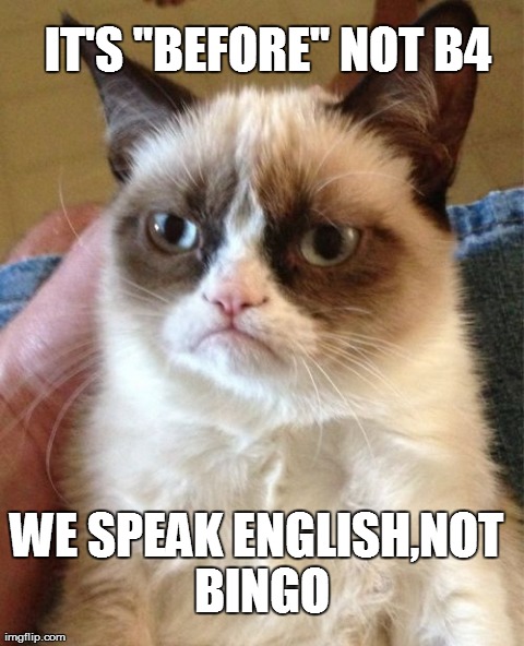 Grumpy Cat | IT'S "BEFORE" NOT B4 WE SPEAK ENGLISH,NOT BINGO | image tagged in memes,grumpy cat | made w/ Imgflip meme maker