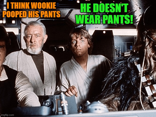 I THINK WOOKIE POOPED HIS PANTS; HE DOESN'T WEAR PANTS! | made w/ Imgflip meme maker