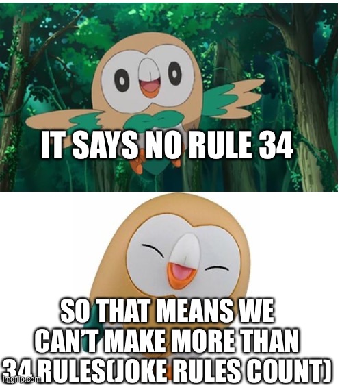 No not actually | IT SAYS NO RULE 34; SO THAT MEANS WE CAN’T MAKE MORE THAN 34 RULES(JOKE RULES COUNT) | image tagged in bad pun rowlet | made w/ Imgflip meme maker