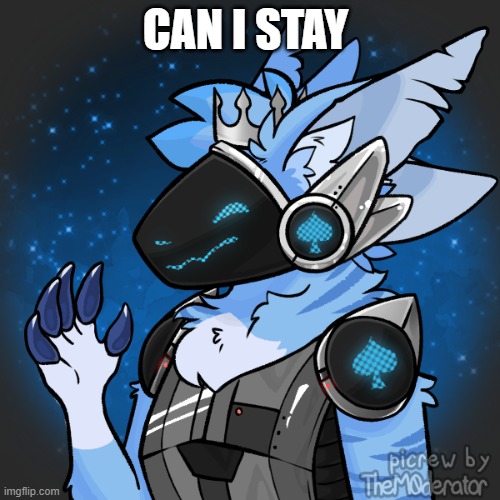 can i still stay although i am not a dragon | CAN I STAY | image tagged in dragon | made w/ Imgflip meme maker