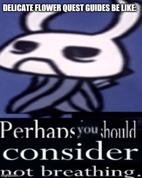 You just need to be a god. | DELICATE FLOWER QUEST GUIDES BE LIKE: | image tagged in hollow knight,not breathing,that one flower quest | made w/ Imgflip meme maker