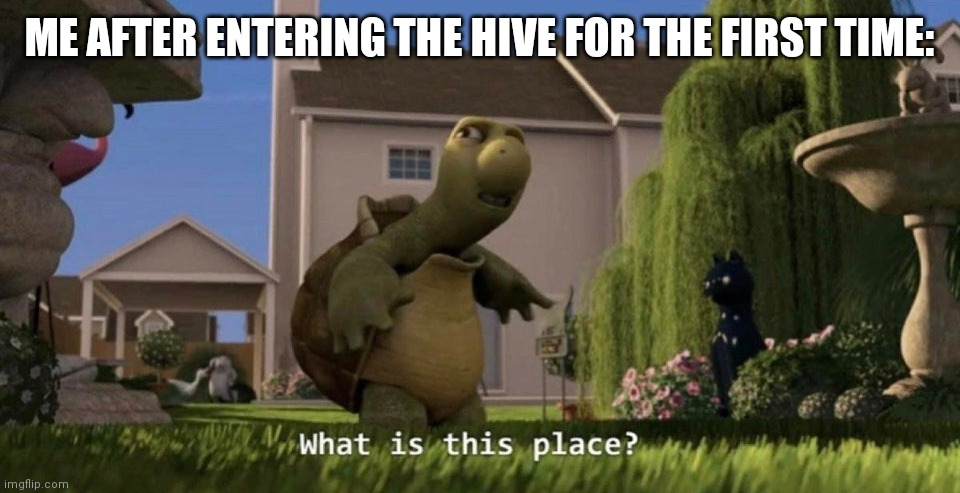 The hive is my least favorite place in the whole entire game | ME AFTER ENTERING THE HIVE FOR THE FIRST TIME: | image tagged in what is this place,hollow knight,hive knight boss made me cry | made w/ Imgflip meme maker