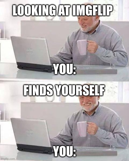 You realize it's yourself when points | LOOKING AT IMGFLIP; YOU:; FINDS YOURSELF; YOU: | image tagged in memes,hide the pain harold | made w/ Imgflip meme maker