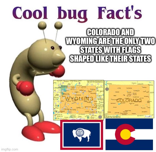 Cool Bug Facts | COLORADO AND WYOMING ARE THE ONLY TWO STATES WITH FLAGS SHAPED LIKE THEIR STATES | image tagged in cool bug facts,memes,geography,flags,colorado,wyoming | made w/ Imgflip meme maker