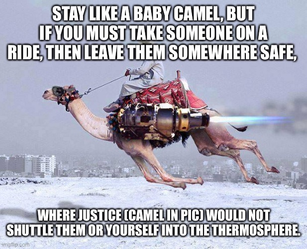Nuclear camel | STAY LIKE A BABY CAMEL, BUT IF YOU MUST TAKE SOMEONE ON A RIDE, THEN LEAVE THEM SOMEWHERE SAFE, WHERE JUSTICE (CAMEL IN PIC) WOULD NOT SHUTTLE THEM OR YOURSELF INTO THE THERMOSPHERE. | image tagged in nuclear camel,camel | made w/ Imgflip meme maker