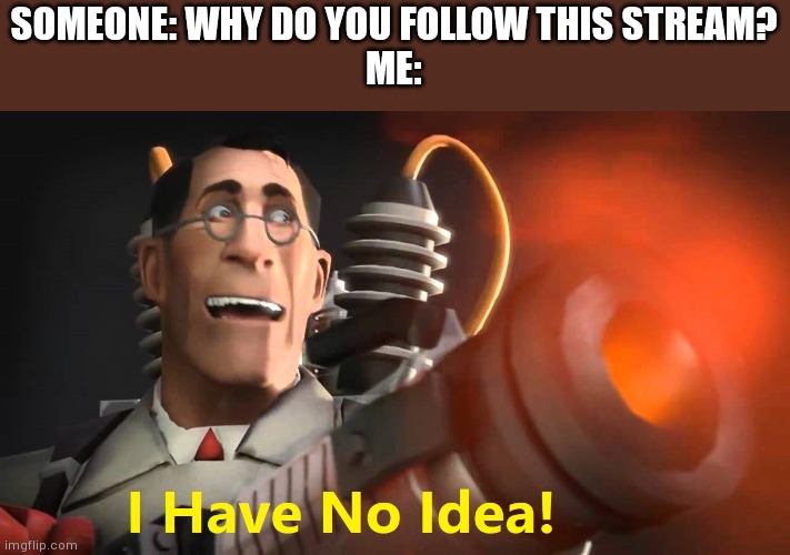 i have no idea [medic version] | SOMEONE: WHY DO YOU FOLLOW THIS STREAM?
ME: | image tagged in i have no idea medic version | made w/ Imgflip meme maker