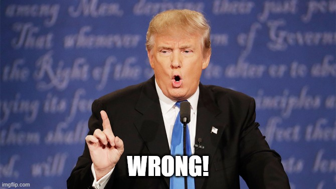 Donald Trump Wrong | WRONG! | image tagged in donald trump wrong | made w/ Imgflip meme maker