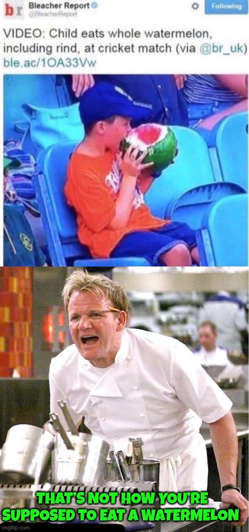 Nasty! | THAT’S NOT HOW YOU’RE SUPPOSED TO EAT A WATERMELON | image tagged in memes,chef gordon ramsay,funny,watermelon,gross,why | made w/ Imgflip meme maker