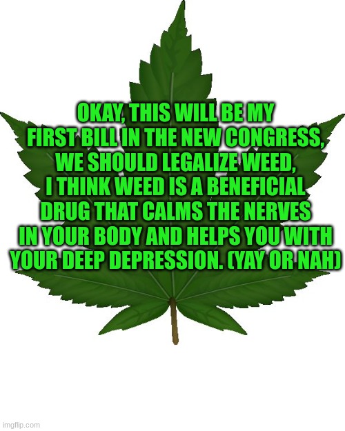 weed | OKAY, THIS WILL BE MY FIRST BILL IN THE NEW CONGRESS, WE SHOULD LEGALIZE WEED, I THINK WEED IS A BENEFICIAL DRUG THAT CALMS THE NERVES IN YOUR BODY AND HELPS YOU WITH YOUR DEEP DEPRESSION. (YAY OR NAH) | image tagged in weed | made w/ Imgflip meme maker