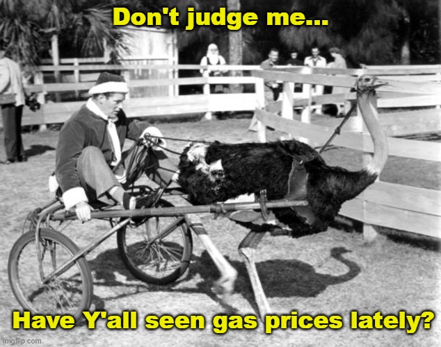 High Fuel Prices | Don't judge me... Have Y'all seen gas prices lately? | image tagged in memes,gasoline,ostrich,fossil fuel | made w/ Imgflip meme maker