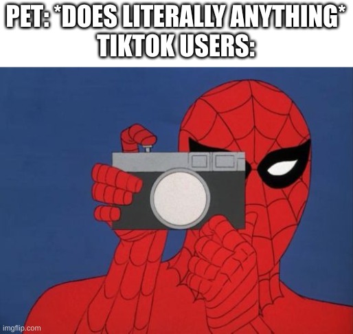 Spiderman Camera | PET: *DOES LITERALLY ANYTHING*
TIKTOK USERS: | image tagged in memes,spiderman camera,spiderman | made w/ Imgflip meme maker