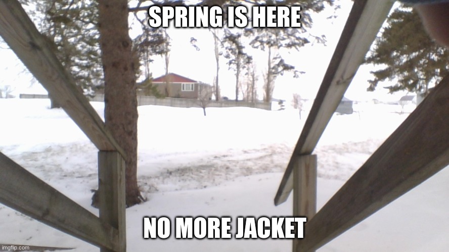 spring in minnesota | SPRING IS HERE; NO MORE JACKET | image tagged in minnesota,spring | made w/ Imgflip meme maker