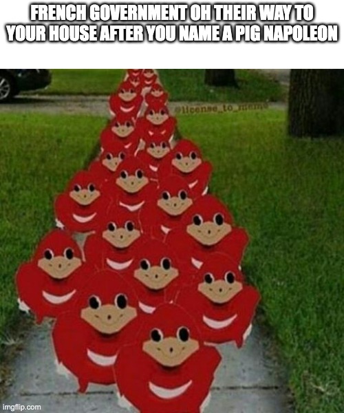 Ugandan knuckles army | FRENCH GOVERNMENT OH THEIR WAY TO YOUR HOUSE AFTER YOU NAME A PIG NAPOLEON | image tagged in ugandan knuckles army | made w/ Imgflip meme maker
