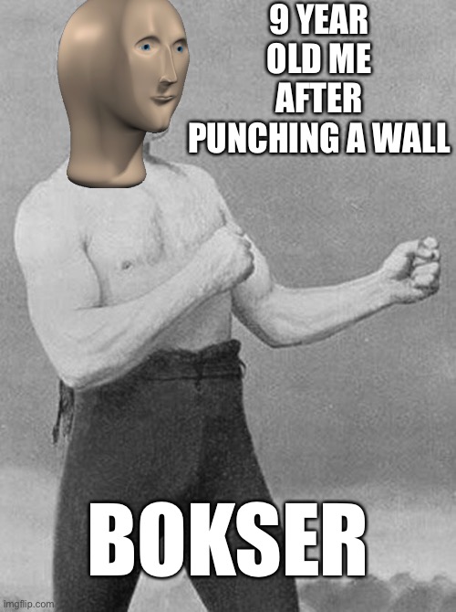 Bokser | 9 YEAR OLD ME AFTER PUNCHING A WALL; BOKSER | image tagged in boxer | made w/ Imgflip meme maker