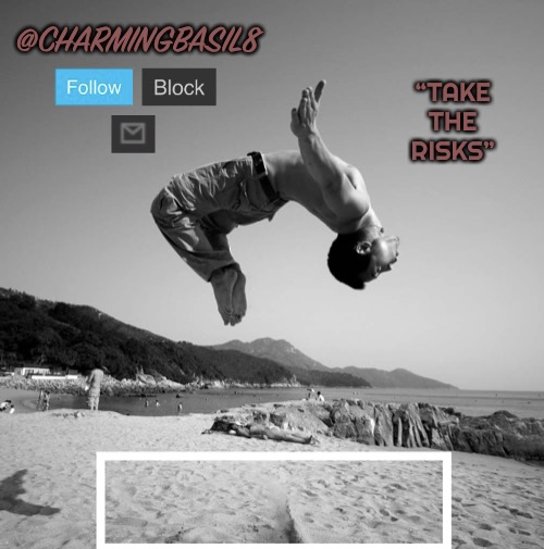 High Quality CharmingBasil8 “Take Risks” Template Blank Meme Template