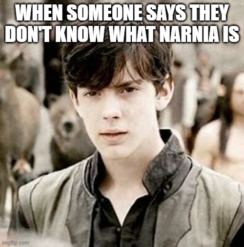 What's Narnia? | WHEN SOMEONE SAYS THEY DON'T KNOW WHAT NARNIA IS | image tagged in narnia | made w/ Imgflip meme maker