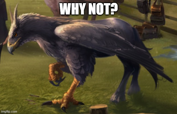 Hippogriff | WHY NOT? | image tagged in hippogriff | made w/ Imgflip meme maker