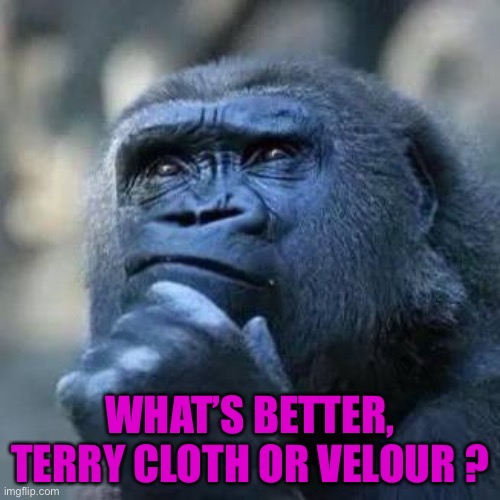 Thinking ape | WHAT’S BETTER, TERRY CLOTH OR VELOUR ? | image tagged in thinking ape | made w/ Imgflip meme maker