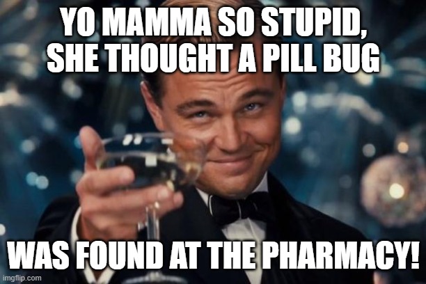 Don't take it the wrong way | YO MAMMA SO STUPID, SHE THOUGHT A PILL BUG; WAS FOUND AT THE PHARMACY! | image tagged in memes,leonardo dicaprio cheers | made w/ Imgflip meme maker