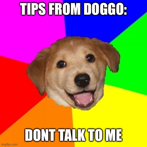 Advice Dog Meme | TIPS FROM DOGGO:; DONT TALK TO ME | image tagged in memes,advice dog | made w/ Imgflip meme maker