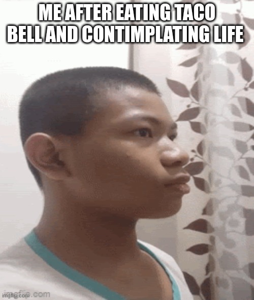 taco bell be like | ME AFTER EATING TACO BELL AND CONTEMPLATING LIFE | made w/ Imgflip meme maker