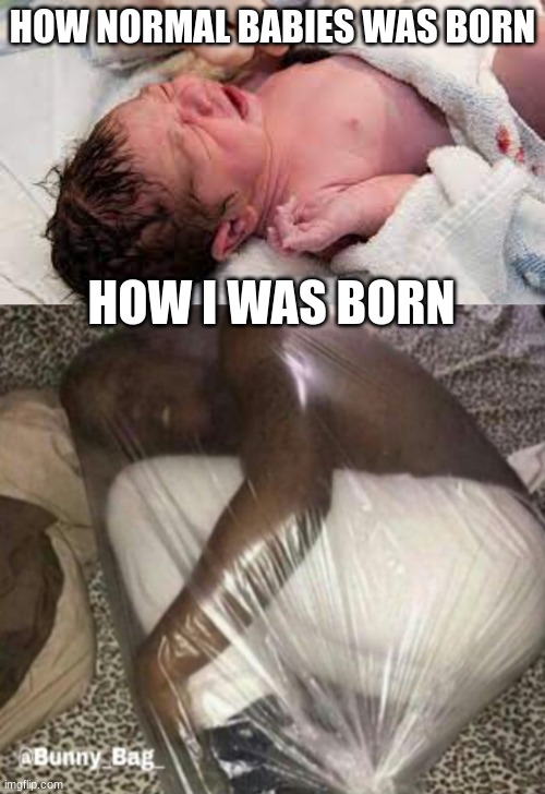 how i was born | HOW NORMAL BABIES WAS BORN; HOW I WAS BORN | made w/ Imgflip meme maker
