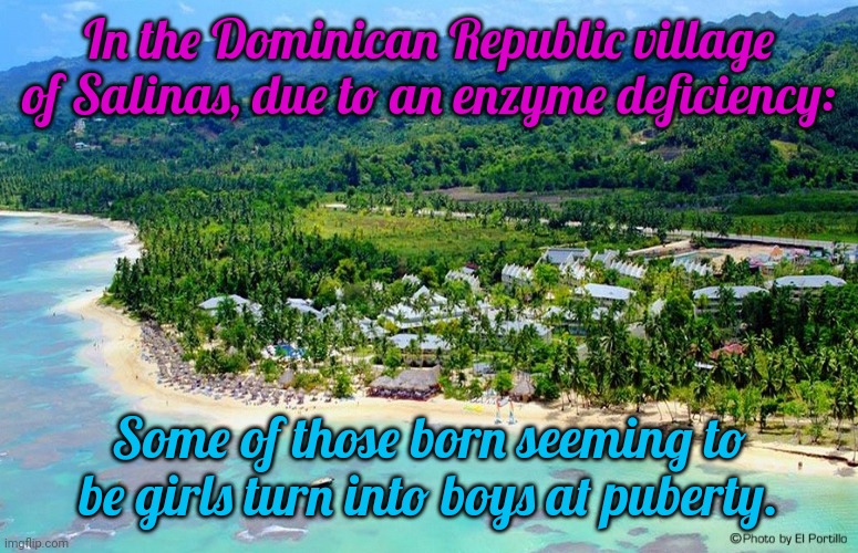 A fun fact for transphobes. | In the Dominican Republic village of Salinas, due to an enzyme deficiency:; Some of those born seeming to be girls turn into boys at puberty. | image tagged in dominican republic,gender,bender,in real life | made w/ Imgflip meme maker