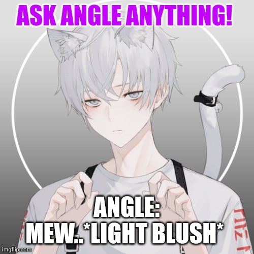 Be careful he's shy! | ASK ANGLE ANYTHING! ANGLE: MEW..*LIGHT BLUSH* | image tagged in anime,question,original character | made w/ Imgflip meme maker
