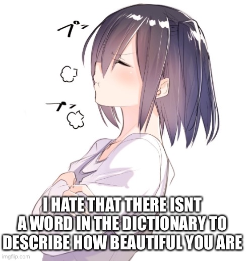 XD | I HATE THAT THERE ISNT A WORD IN THE DICTIONARY TO DESCRIBE HOW BEAUTIFUL YOU ARE | image tagged in hmphy,lol,no i wont stop | made w/ Imgflip meme maker