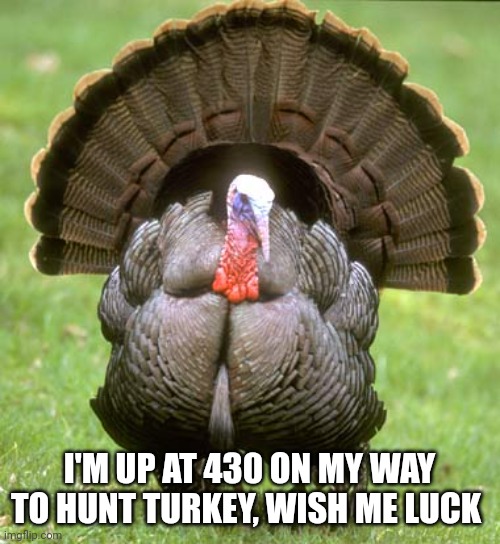 Gobble, gobble, kaboom! | I'M UP AT 430 ON MY WAY TO HUNT TURKEY, WISH ME LUCK | image tagged in memes,turkey | made w/ Imgflip meme maker