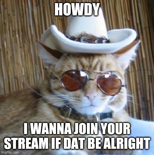 Howdy | HOWDY; I WANNA JOIN YOUR STREAM IF DAT BE ALRIGHT | image tagged in howdy | made w/ Imgflip meme maker
