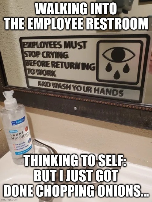 I Just Got Done Chopping Onions | WALKING INTO THE EMPLOYEE RESTROOM; THINKING TO SELF: 
BUT I JUST GOT DONE CHOPPING ONIONS... | image tagged in employees must stop crying | made w/ Imgflip meme maker