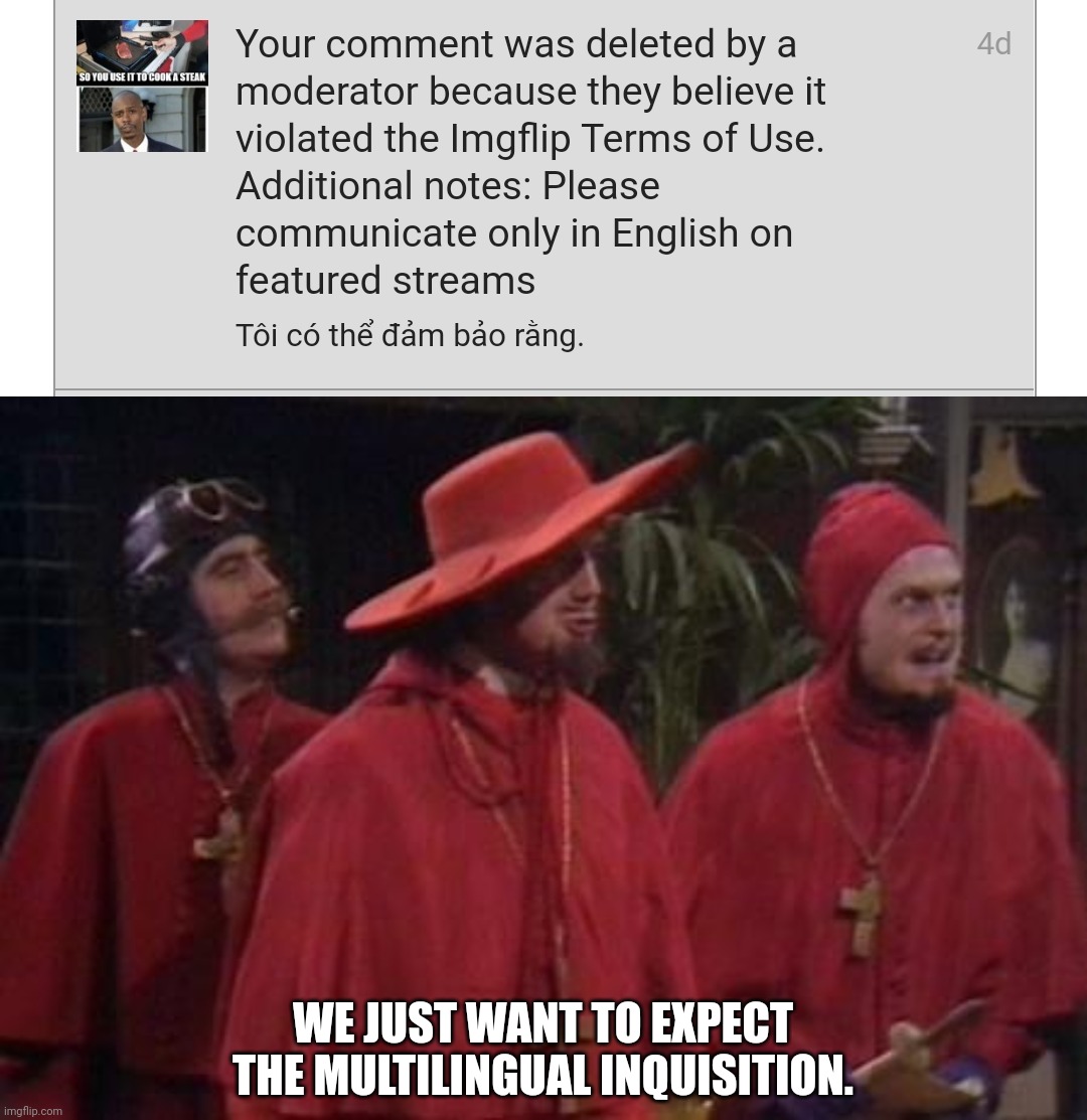 Come on, mods, we just want to have fun with multilingual talk, just spare em forever. | WE JUST WANT TO EXPECT THE MULTILINGUAL INQUISITION. | image tagged in nobody expects the spanish inquisition monty python,multilingual,comments,memes | made w/ Imgflip meme maker