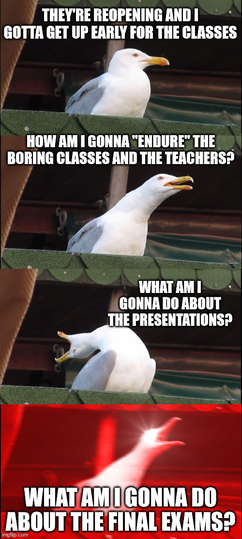 Reopening the University | THEY'RE REOPENING AND I GOTTA GET UP EARLY FOR THE CLASSES; HOW AM I GONNA "ENDURE" THE BORING CLASSES AND THE TEACHERS? WHAT AM I GONNA DO ABOUT THE PRESENTATIONS? WHAT AM I GONNA DO ABOUT THE FINAL EXAMS? | image tagged in memes,inhaling seagull,funny,college,exams,finals | made w/ Imgflip meme maker