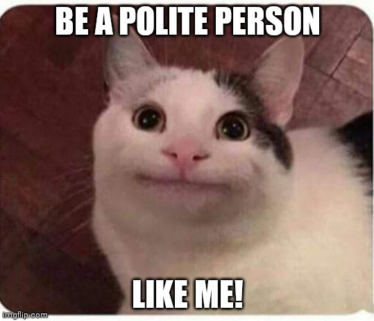 BE AN POLITE PERSON | BE A POLITE PERSON; LIKE ME! | image tagged in polite cat,rules,beluga | made w/ Imgflip meme maker