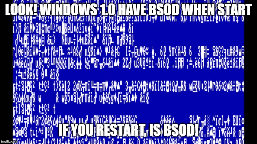 Windows 1.0 BSOD | LOOK! WINDOWS 1.0 HAVE BSOD WHEN START IF YOU RESTART, IS BSOD! | image tagged in windows 1 0 bsod | made w/ Imgflip meme maker