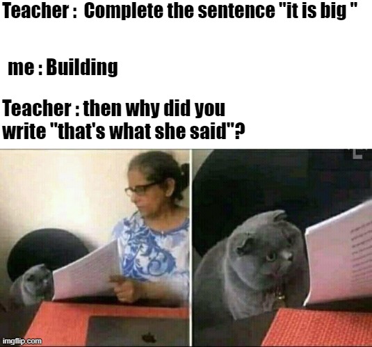 she said | Teacher :  Complete the sentence "it is big "; me : Building; Teacher : then why did you write "that's what she said"? | image tagged in black cat and teacher,that's what she said | made w/ Imgflip meme maker