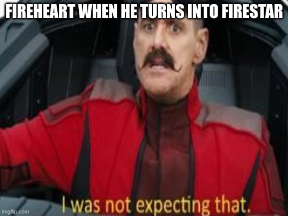 FIREHEART WHEN HE TURNS INTO FIRESTAR | made w/ Imgflip meme maker