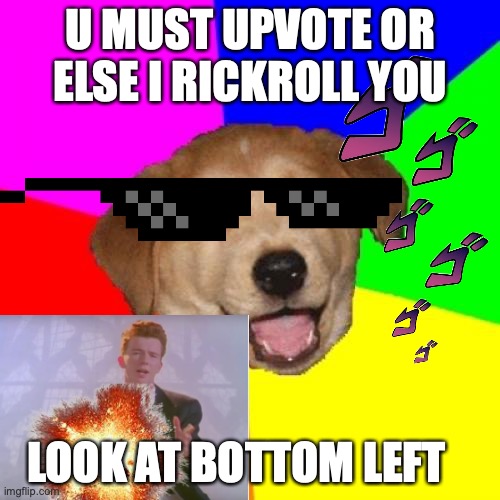 Advice Dog | U MUST UPVOTE OR ELSE I RICKROLL YOU; LOOK AT BOTTOM LEFT | image tagged in memes,advice dog | made w/ Imgflip meme maker