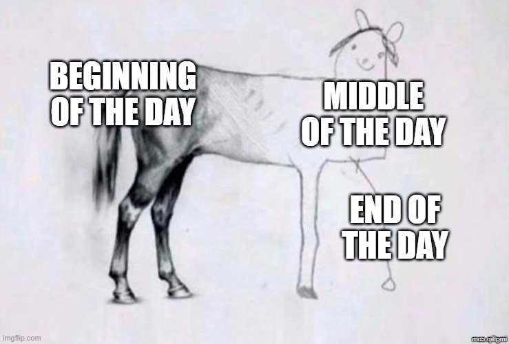 Horse Drawing | BEGINNING OF THE DAY; MIDDLE OF THE DAY; END OF THE DAY | image tagged in horse drawing | made w/ Imgflip meme maker