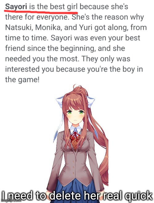 Do people like Monika from Doki Doki because she's devoted to you