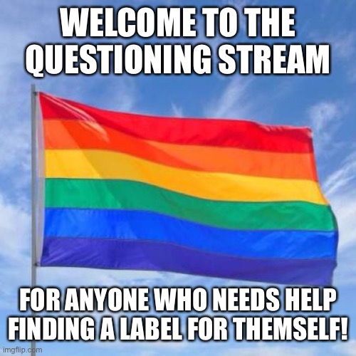 We are all here to help! | WELCOME TO THE QUESTIONING STREAM; FOR ANYONE WHO NEEDS HELP FINDING A LABEL FOR THEMSELF! | image tagged in gay pride flag | made w/ Imgflip meme maker
