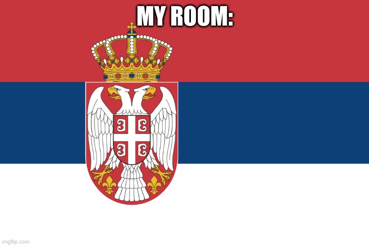 Serbian Flag | MY ROOM: | image tagged in serbian flag | made w/ Imgflip meme maker