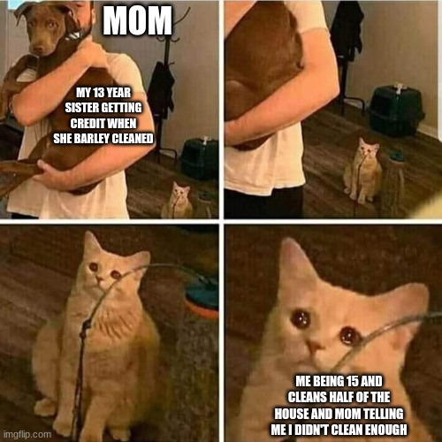 this is oddly relatable | MOM; MY 13 YEAR SISTER GETTING CREDIT WHEN SHE BARLEY CLEANED; ME BEING 15 AND CLEANS HALF OF THE HOUSE AND MOM TELLING ME I DIDN'T CLEAN ENOUGH | image tagged in sad cat holding dog,relatable,childhood | made w/ Imgflip meme maker