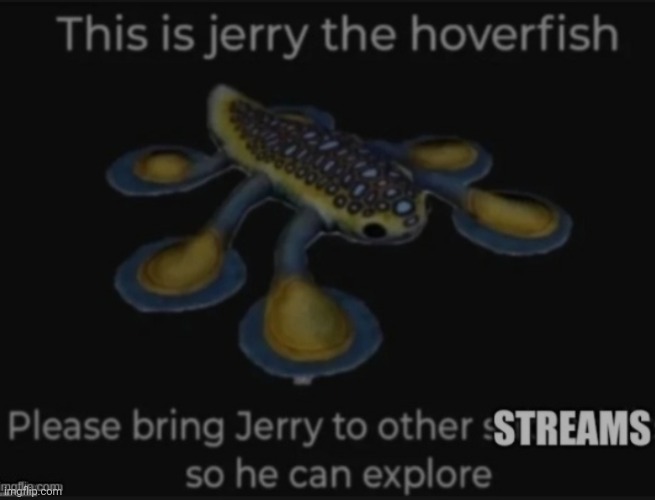 Send Jerry on an adventure! | image tagged in jerry the hoverfish | made w/ Imgflip meme maker