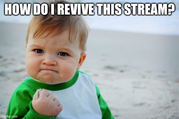 I’m gonna think about reviving six flags memes | HOW DO I REVIVE THIS STREAM? | image tagged in memes,success kid original | made w/ Imgflip meme maker