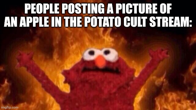 NOT THE APPLE | PEOPLE POSTING A PICTURE OF AN APPLE IN THE POTATO CULT STREAM: | image tagged in hellmo | made w/ Imgflip meme maker