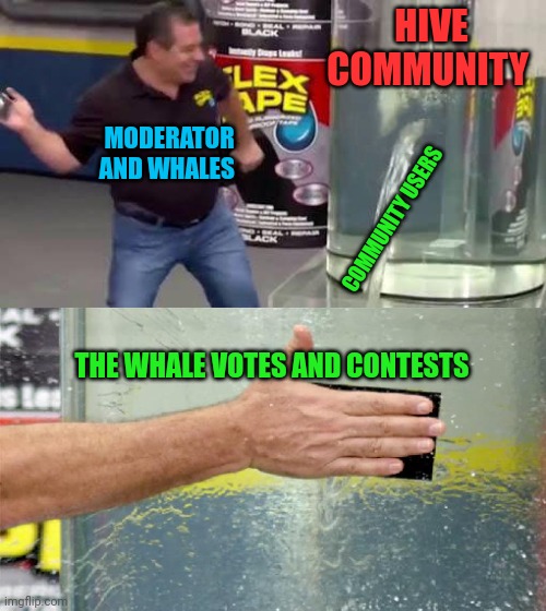 Community and whales | HIVE COMMUNITY; MODERATOR AND WHALES; COMMUNITY USERS; THE WHALE VOTES AND CONTESTS | image tagged in hive,crypto,meme,funny,community,cryptocurrency | made w/ Imgflip meme maker