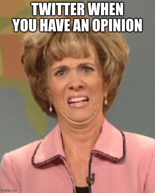 Disgusted Kristin Wiig | TWITTER WHEN YOU HAVE AN OPINION | image tagged in disgusted kristin wiig,twitter,opinions | made w/ Imgflip meme maker